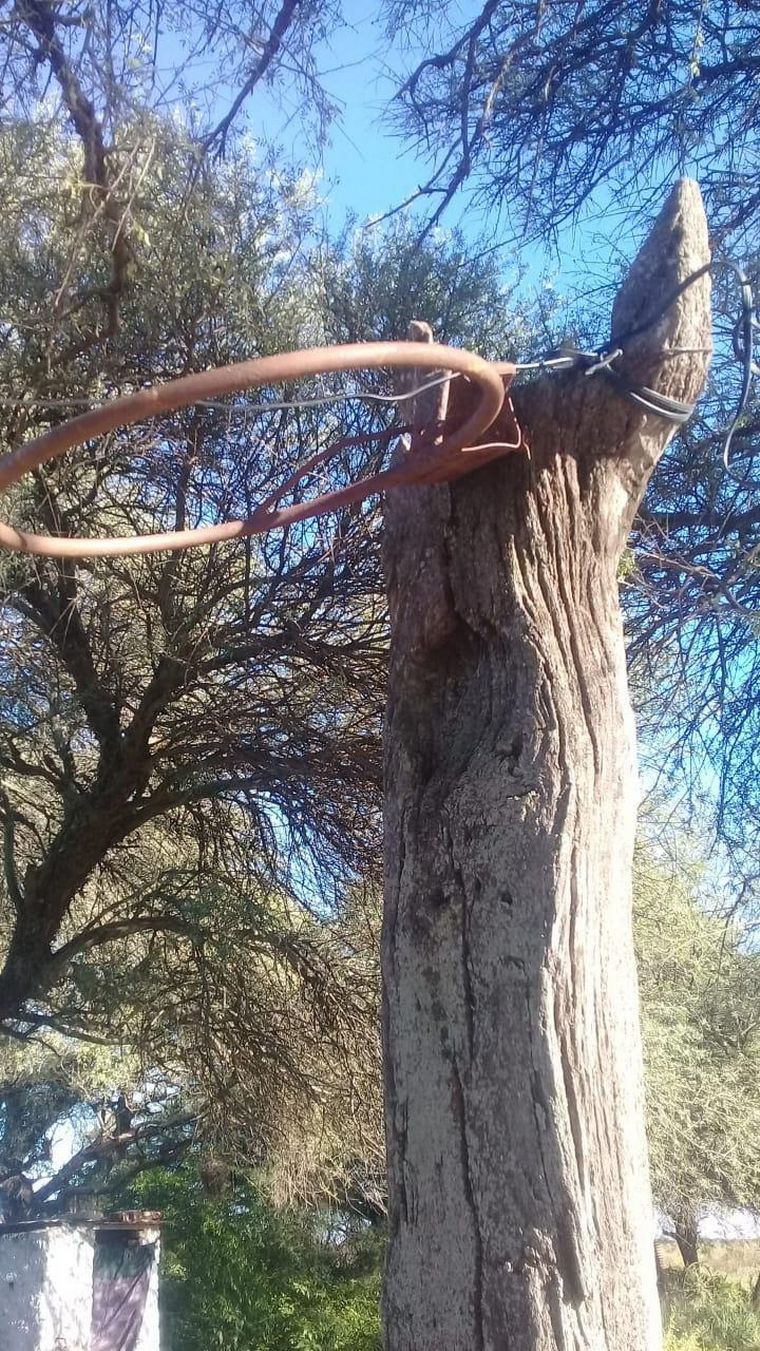 El aro donde Gabriel comenzó a jugar