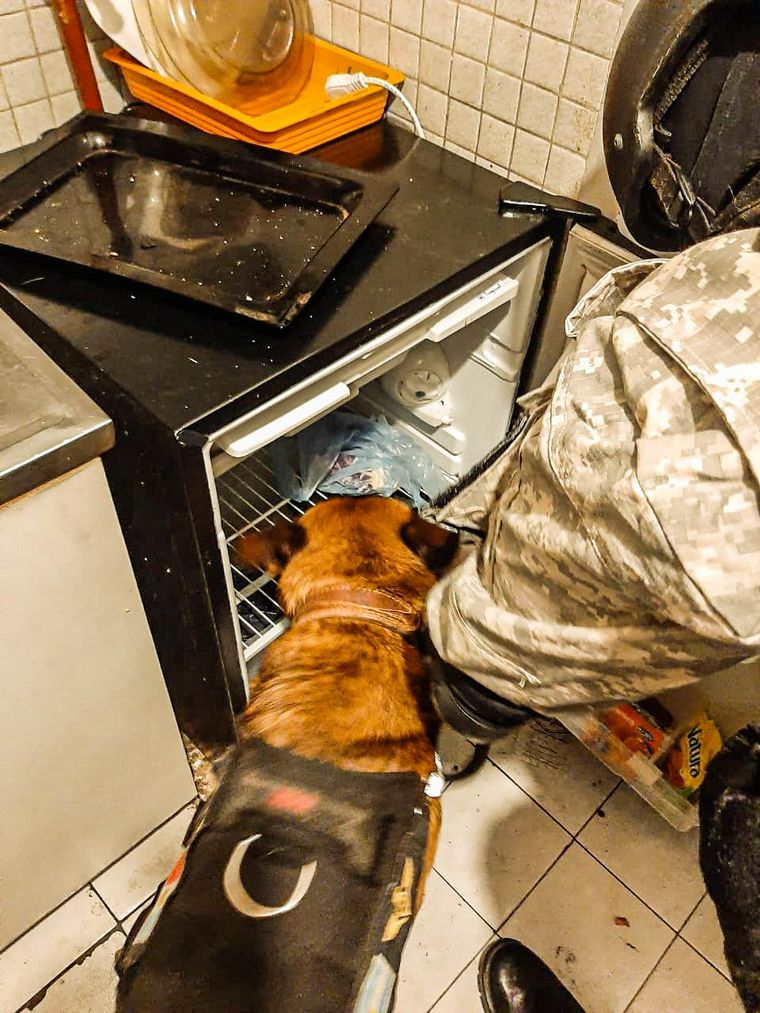 Golpe al narco: cayó el hijo de Luciano Benjamín Menéndez