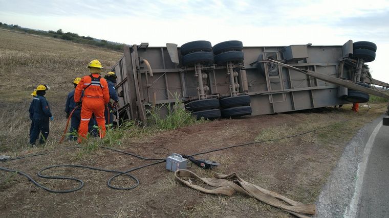 Volcó un camión con ganado y faenaron animales vivos