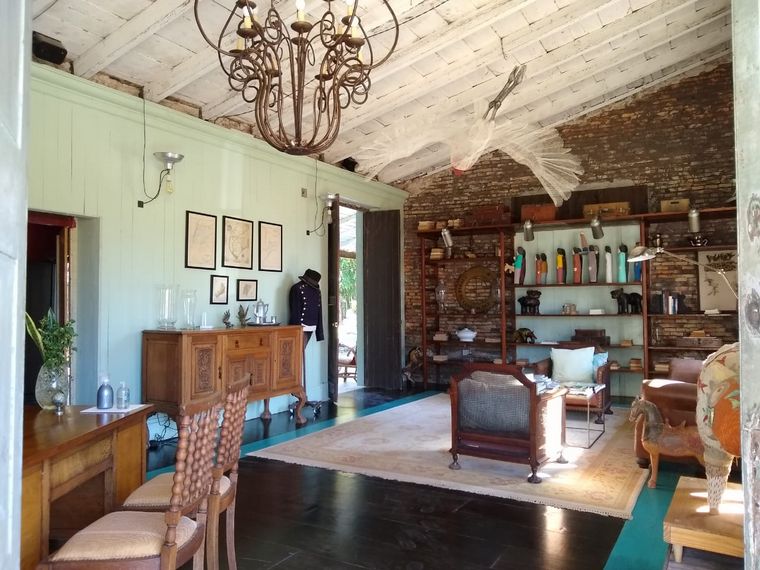 La Alondra 'i, un encanto en Concepción.