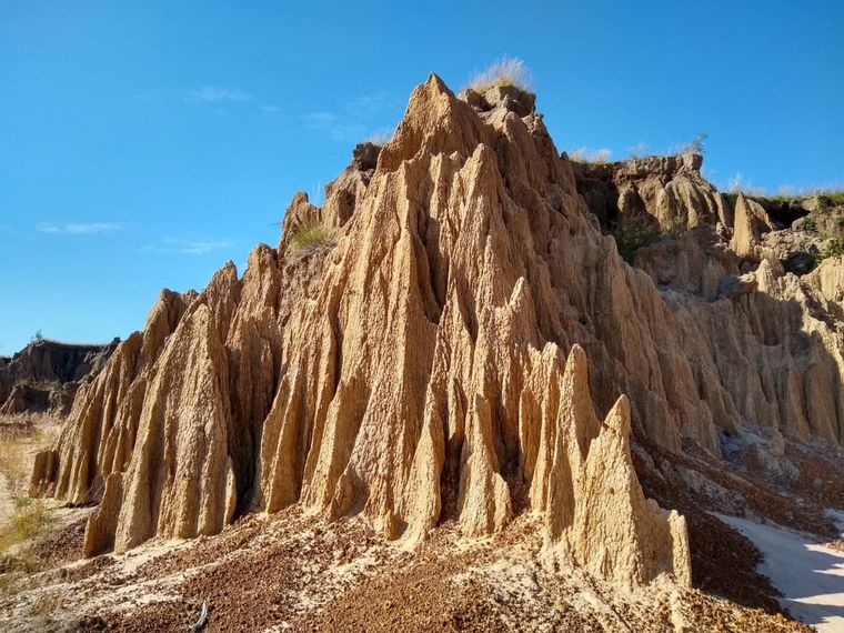 Yacimiento paleontológico Toropí