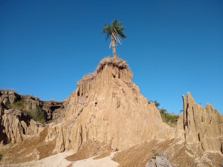 FOTO: Yacimiento paleontológico Toropí