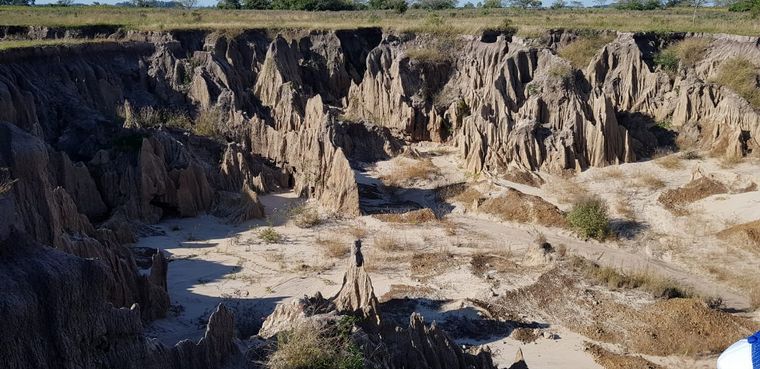 Yacimiento paleontológico Toropí