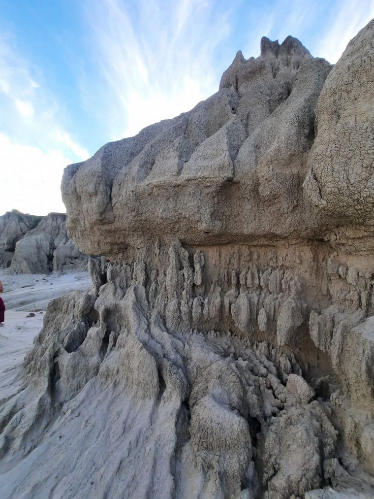 Yacimiento paleontológico Toropí