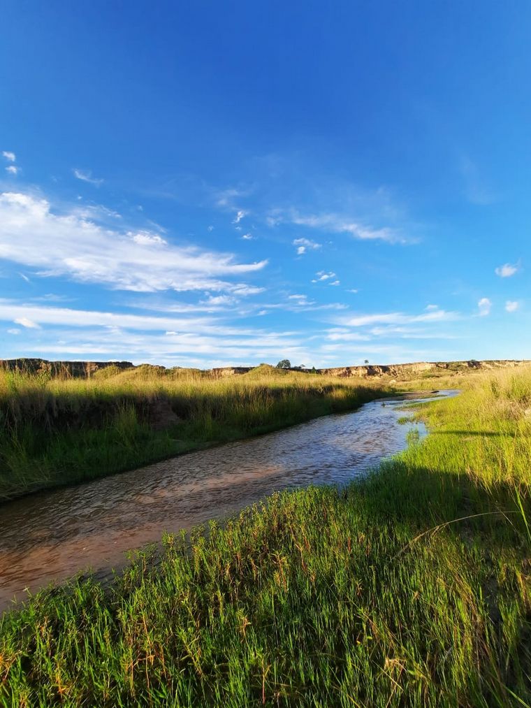 Yacimiento paleontológico Toropí