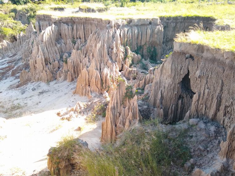 FOTO: Yacimiento paleontológico Toropí