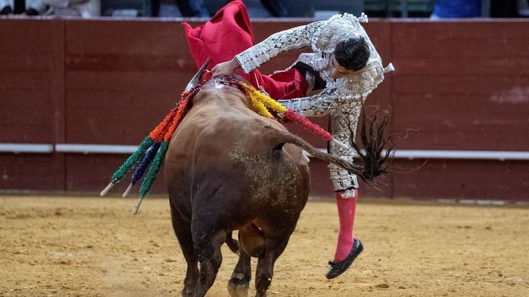 Un torero malherido tras sufrir una espeluznante cornada