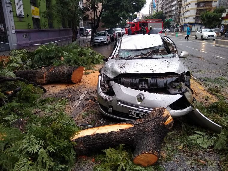 Árbol cayó sobre un auto