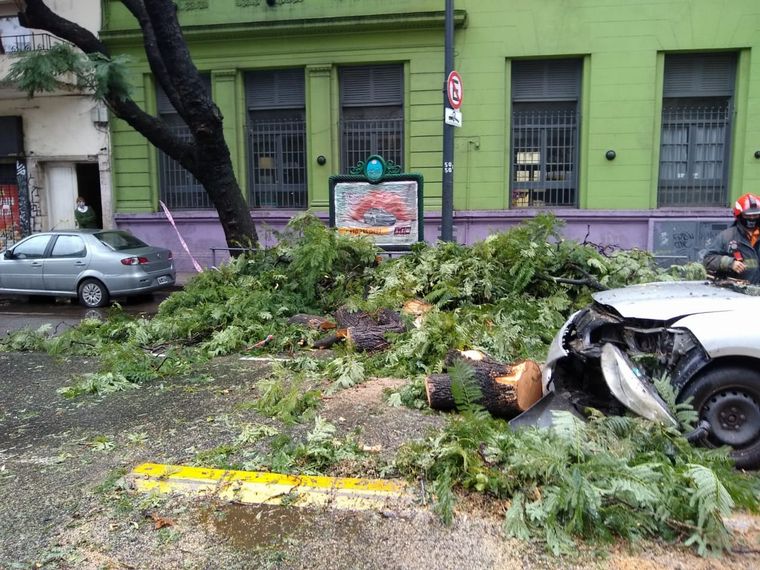 Árbol cayó sobre un auto