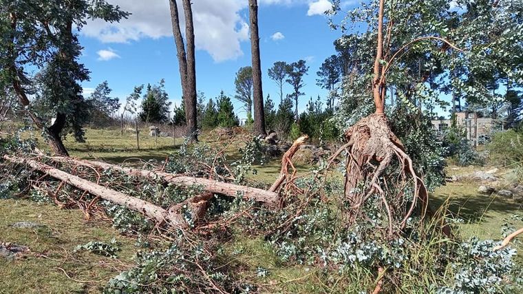 Temporal de fuerte viento en Villa Yacanto (Fotos: Yacanto Noticias)