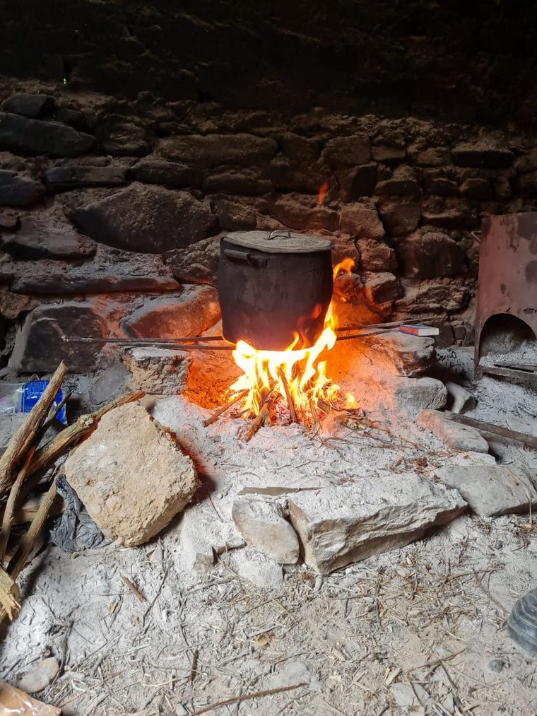 Viven 4 meses en la montaña con sus alumnos para educarlos