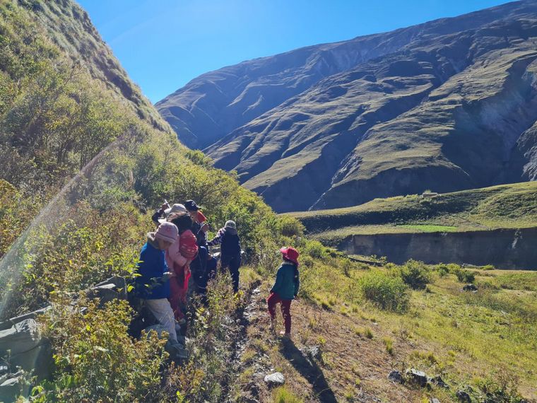 Viven 4 meses en la montaña con sus alumnos para educarlos
