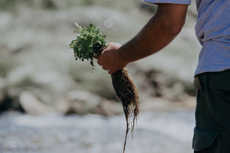 Box Sinergy trabaja bajo el concepto de sustentabilidad y cuidado de medio ambiente.
