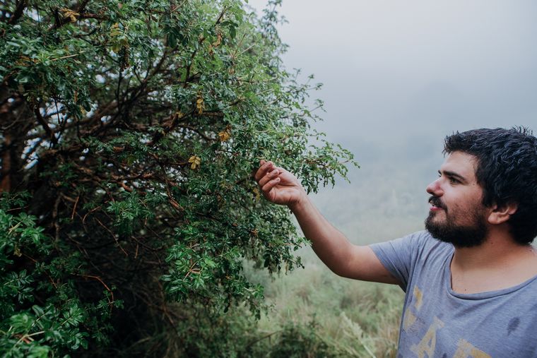 Box Sinergy trabaja bajo el concepto de sustentabilidad y cuidado de medio ambiente.