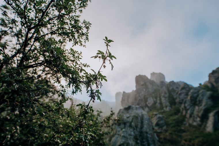 Box Sinergy trabaja bajo el concepto de sustentabilidad y cuidado de medio ambiente.