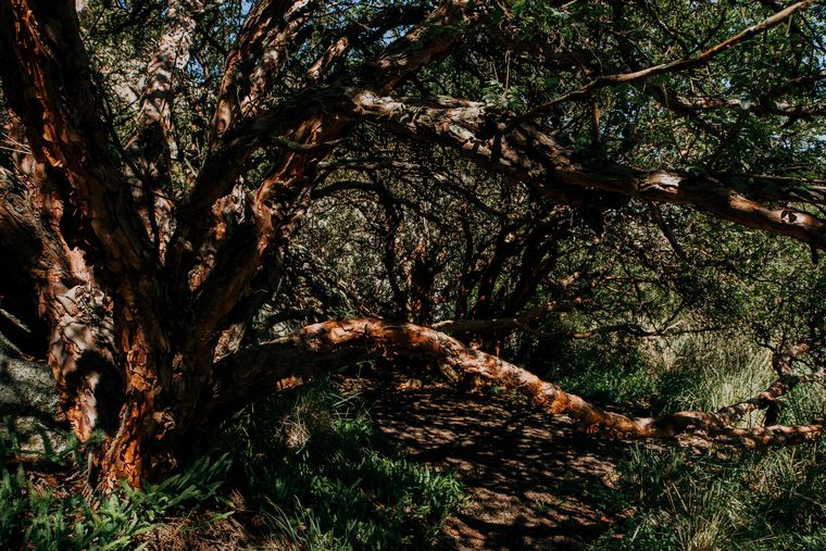 Box Sinergy trabaja bajo el concepto de sustentabilidad y cuidado de medio ambiente.