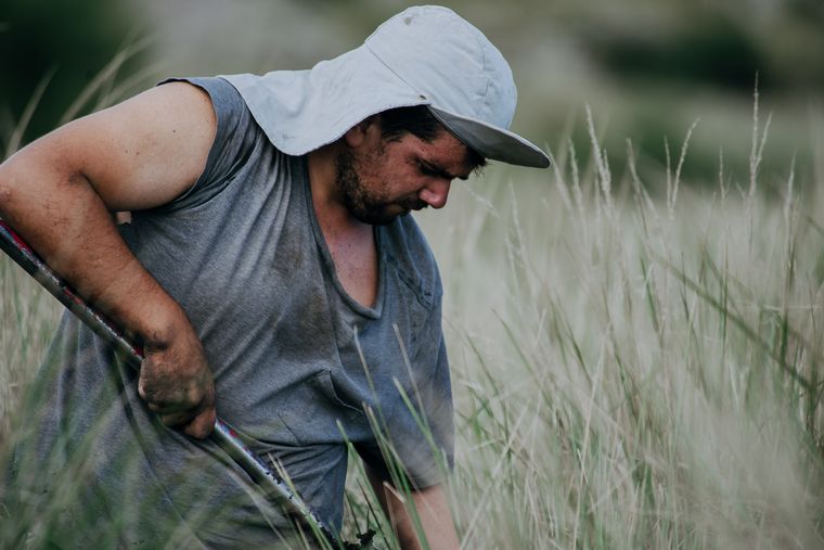 Box Sinergy trabaja bajo el concepto de sustentabilidad y cuidado de medio ambiente.