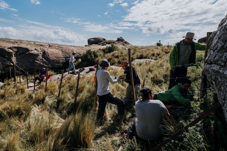 Box Sinergy trabaja bajo el concepto de sustentabilidad y cuidado de medio ambiente.