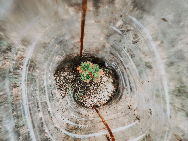 Box Sinergy trabaja bajo el concepto de sustentabilidad y cuidado de medio ambiente.