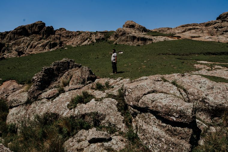 Box Sinergy trabaja bajo el concepto de sustentabilidad y cuidado de medio ambiente.