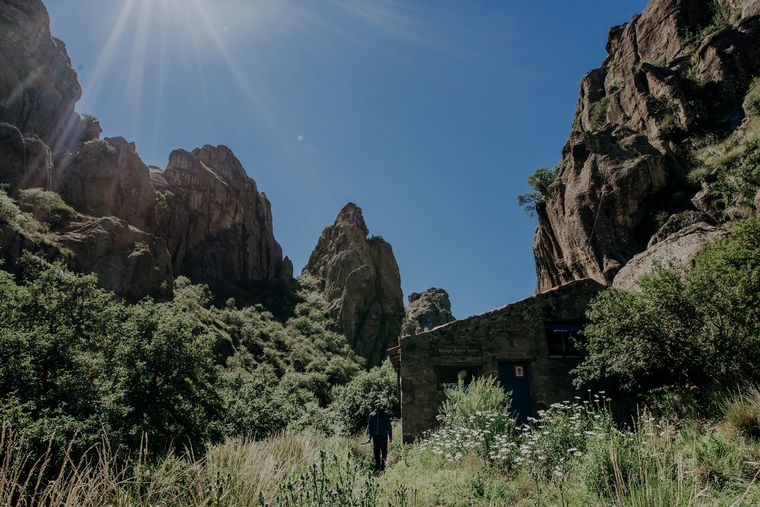 Box Sinergy trabaja bajo el concepto de sustentabilidad y cuidado de medio ambiente.