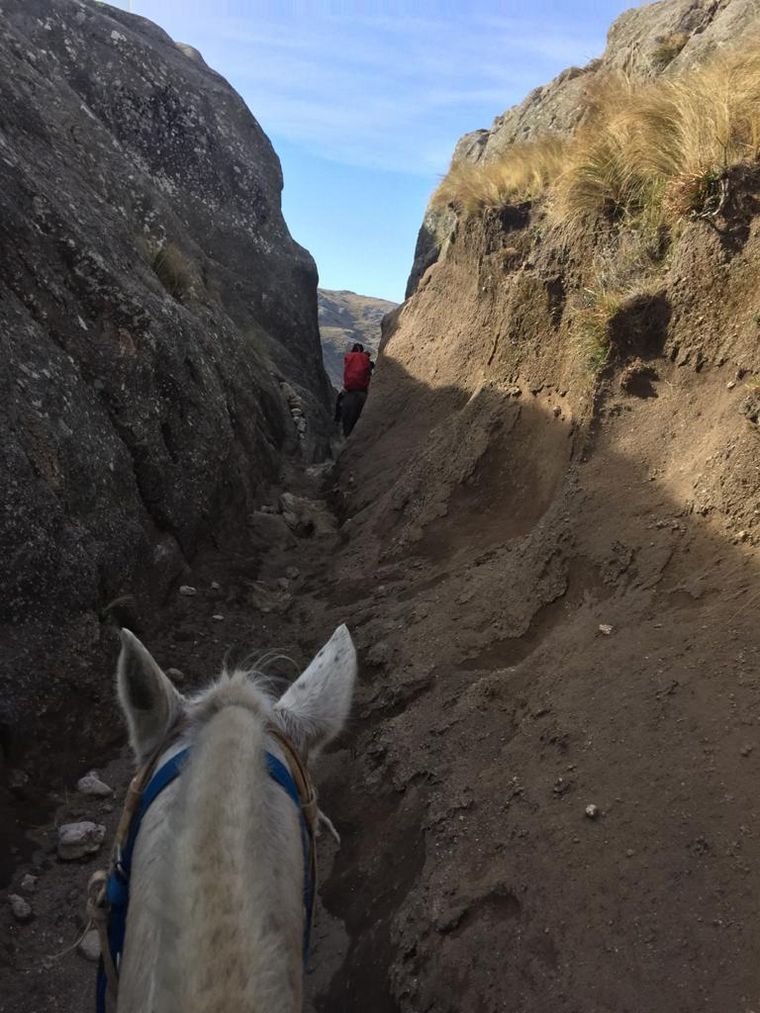 Vacunaron a 12 personas luego de viajar tres horas a caballo