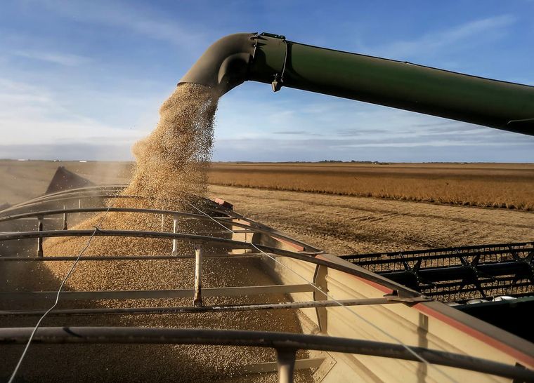 Las distorsiones de la economía y la presión impositiva perjudican al agro