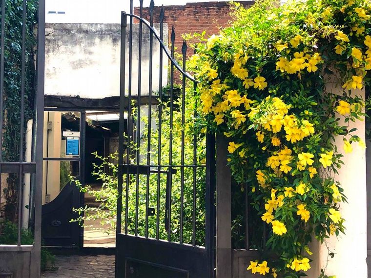 Descubrí Sabores te propone tres lugares, esta vez en el corazón de Córdoba.