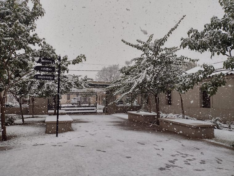 Nieve en Bodega Terra Camiare