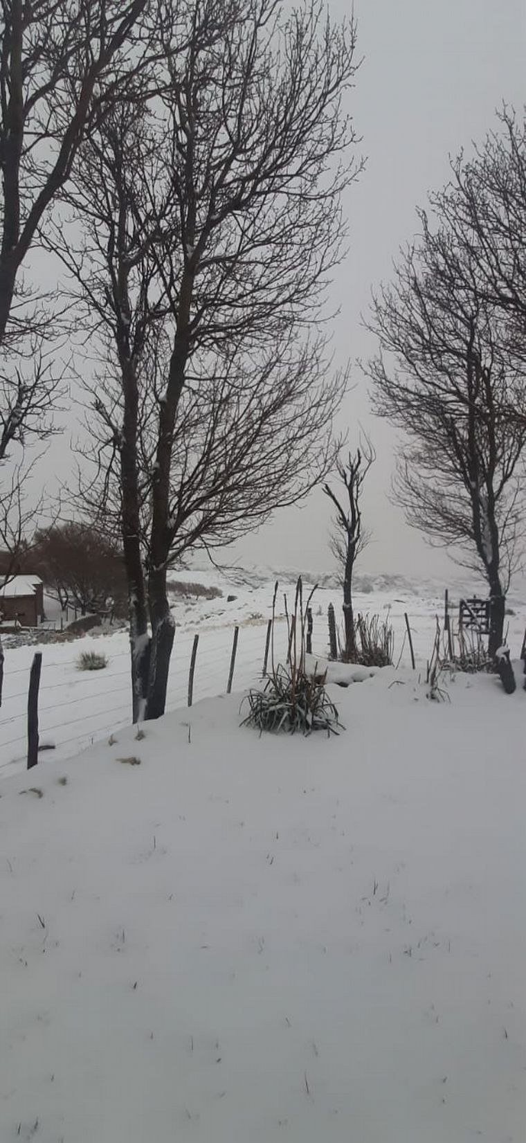 FOTO: Así se vivió la nevada en Pampa de Achala