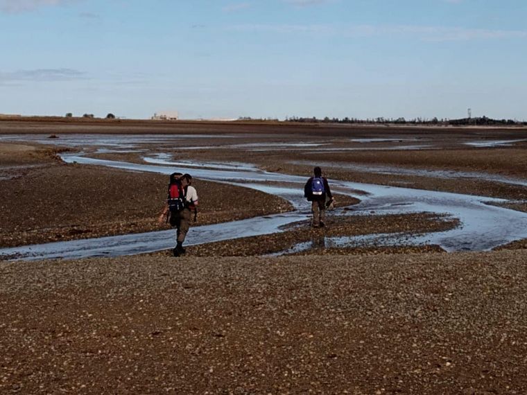 Trabajan para liberar a una ballena que quedó varada