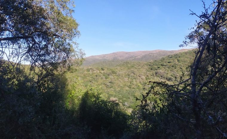 Reserva Hídrica Natural Los Manantiales