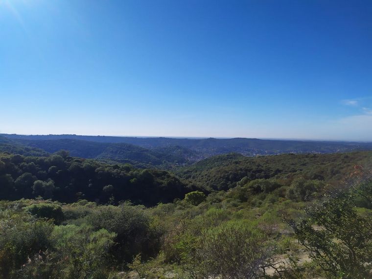 Reserva Hídrica Natural Los Manantiales