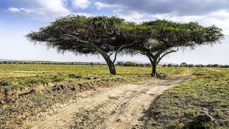 Los caminos de Kenia en 2021 asoman mas contemplativos para la llegada del WRC.