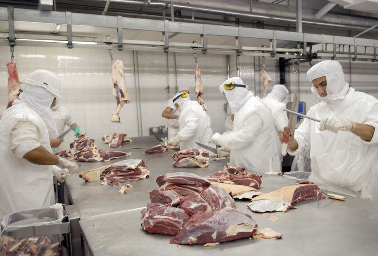 FOTO: Flexibilización de las exportaciones de carne.