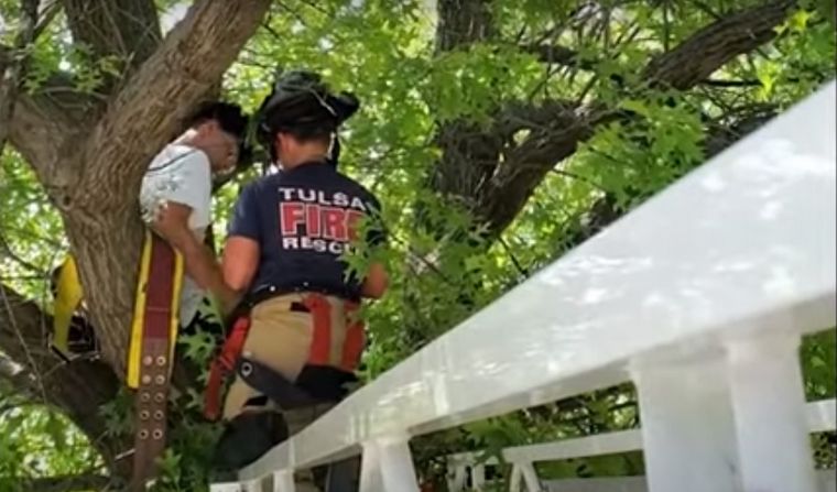 Bomberos rescataron a un gato y a su dueño de un árbol
