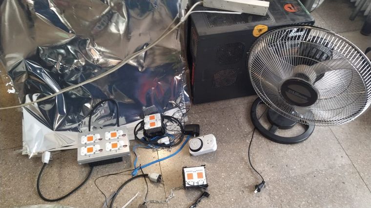 Desarticulan un laboratorio de marihuana al lado de tribunales federales de Córdoba