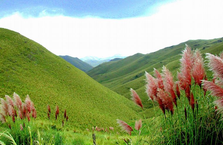 Agencia Córdoba Turismo