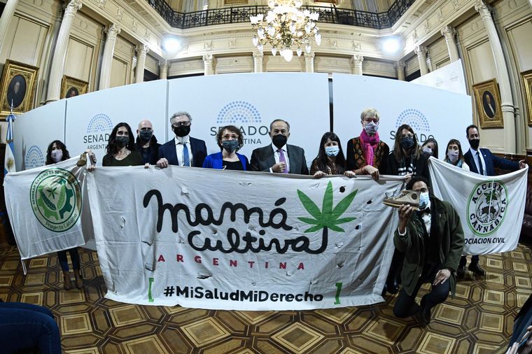 FOTO: Diputados del FdT reimpulsarán el debate sobre el proyecto de cannabis medicinal.