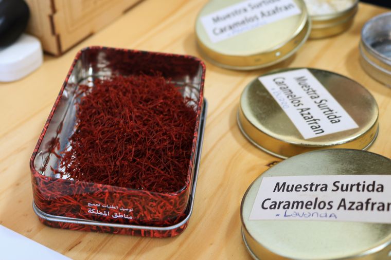 Azafrán Mediterráneo