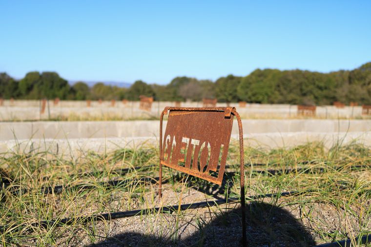 Azafrán Mediterráneo