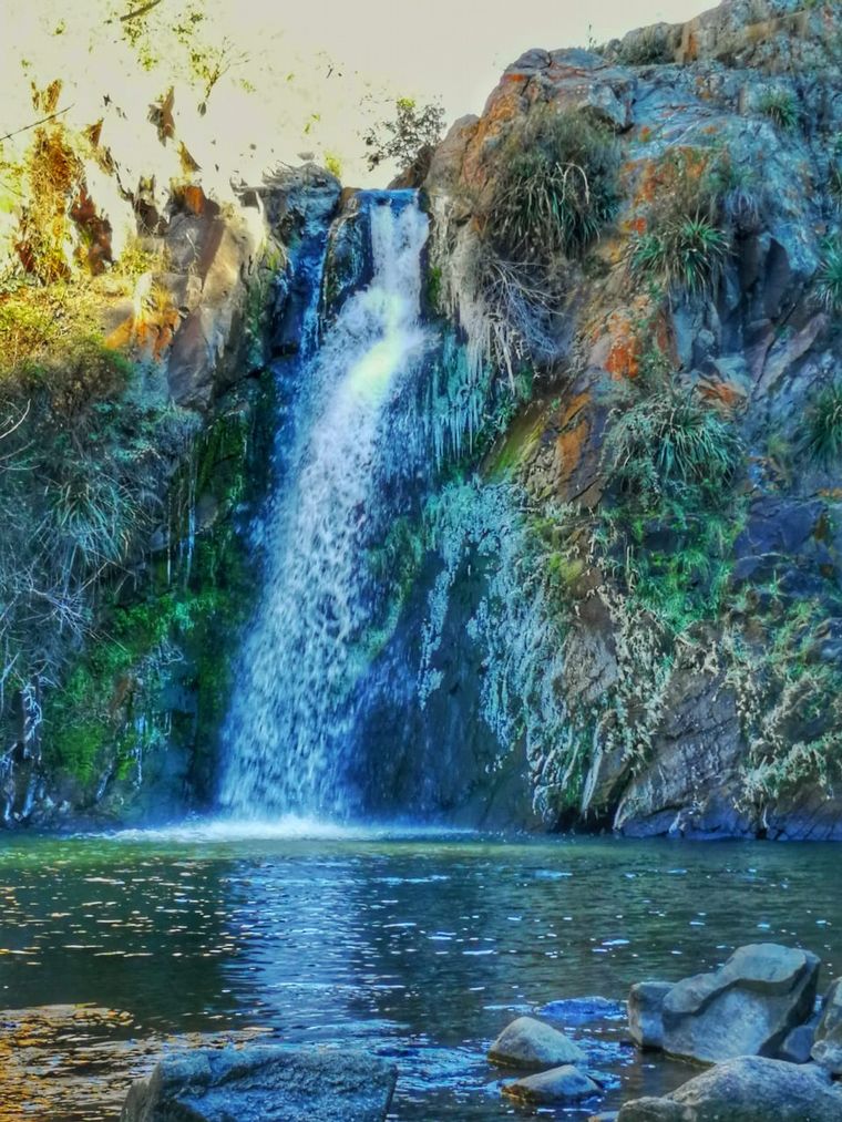 La Romelia, una reserva natural en La Estancita