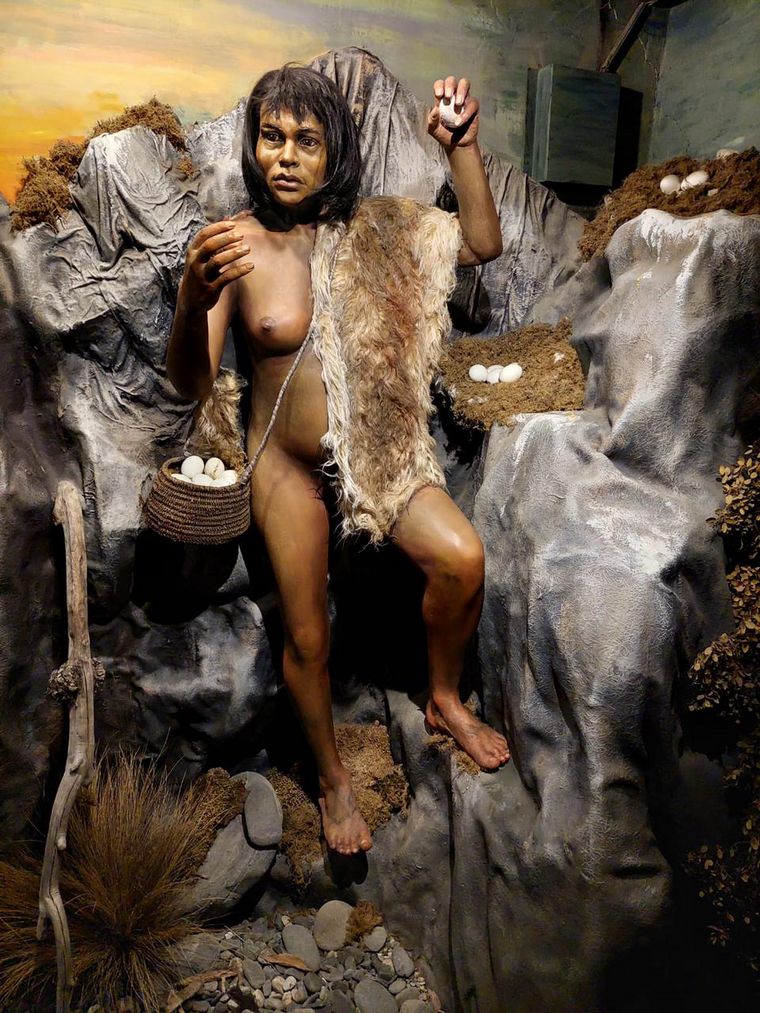 Taberna del Viejo Lobo