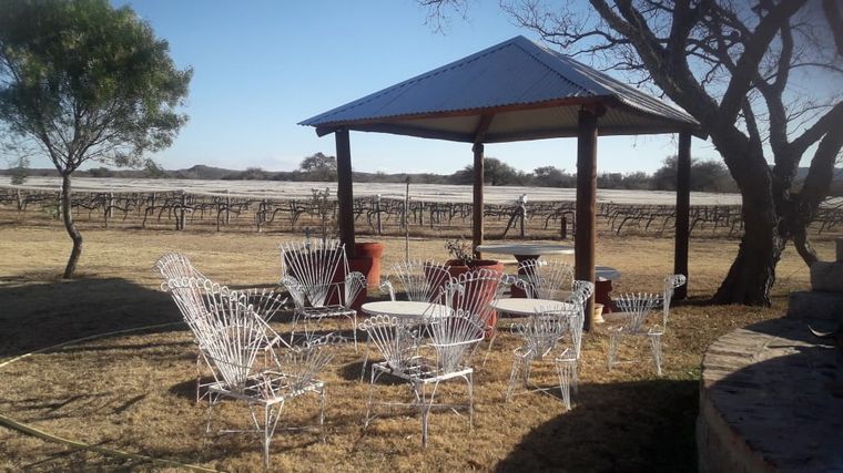 Una visita a la bodega Jairala Oller en Ischilín.