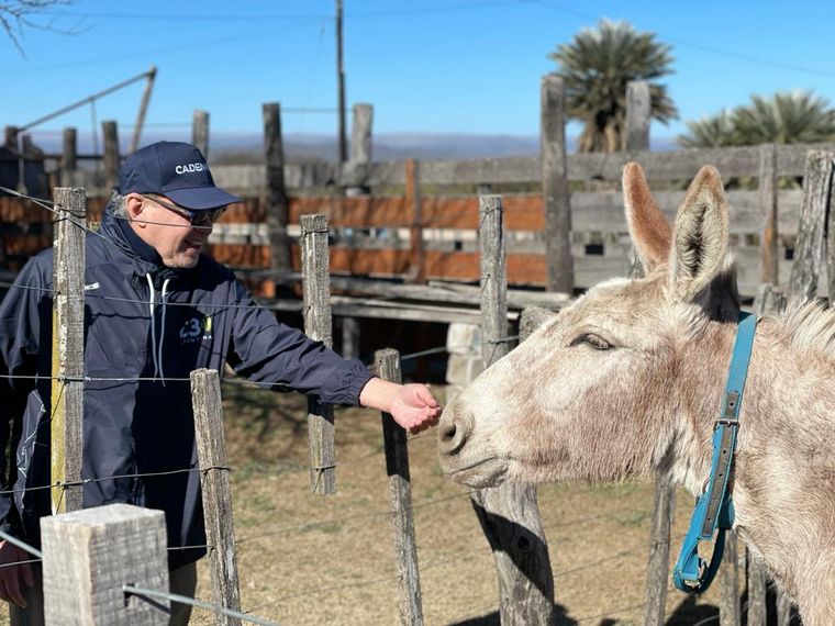 Finca Posada del Volcán en el departamento Pocho.