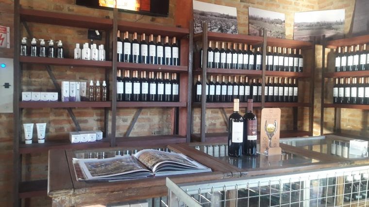 Un recorrido por bodega Viarago, en Villa Las Rosas.