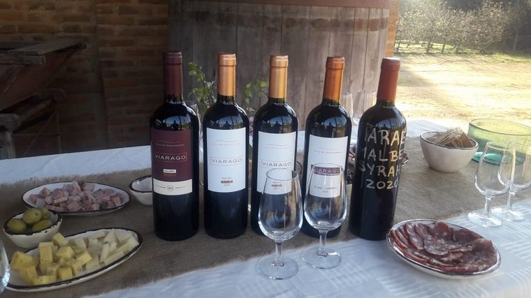 Un recorrido por bodega Viarago, en Villa Las Rosas.