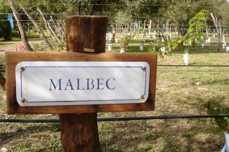 Bodega Aráoz de Lamadrid