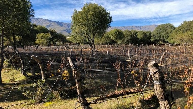 Bodega Aráoz de Lamadrid