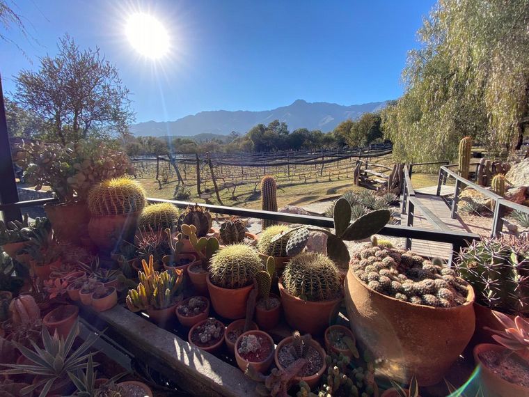 Siempre Juntos, desde Aráoz de Lamadrid.